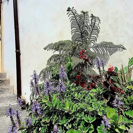 Madeinsicily 2 *